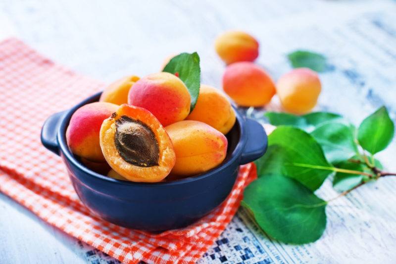 fresh apricots on a blue bowl, a red and white gingham placemat on wooden table