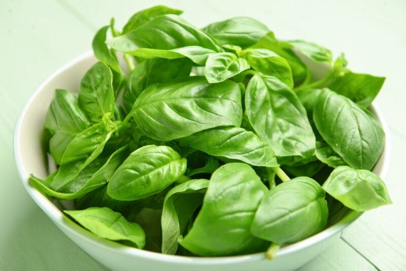 on a white wooden surface is a closeup image of a white bowl full of fresh basil leaves