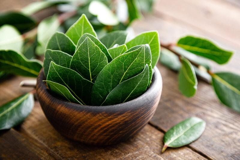 on a dark wooden surface is a wooden bowl full of fresh bay leaves, around it are loose fresh bay leaves as well