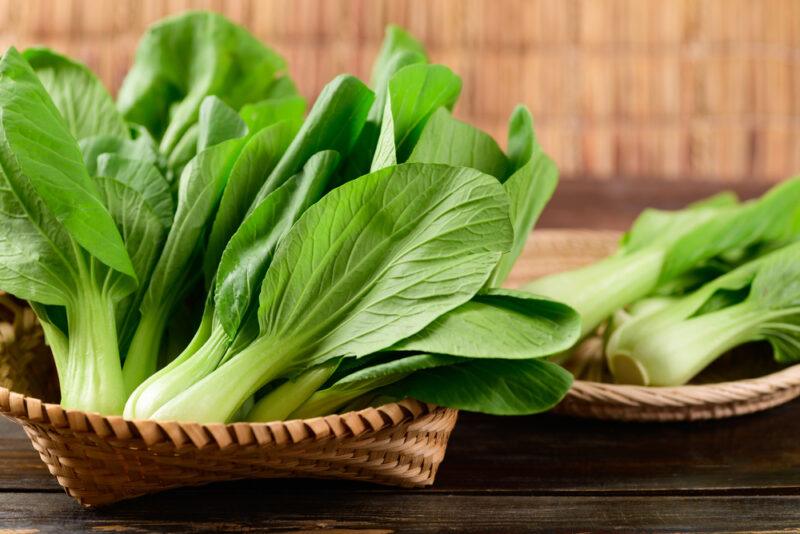 a basket of fresh bok choy