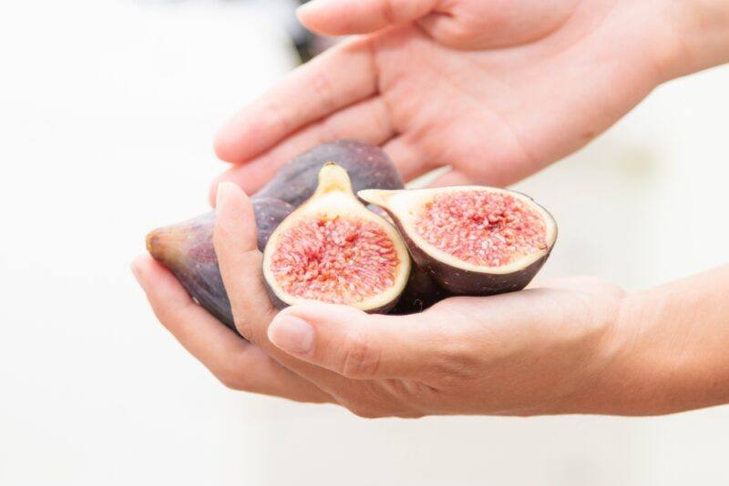 hands holding out some fresh figs with one cut in halve