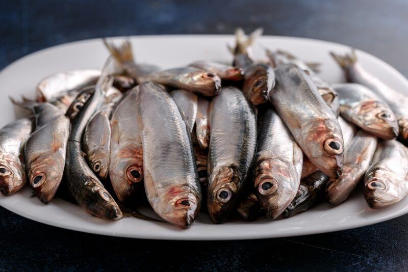 closeup image of a white plate with fresh herring