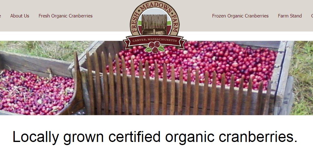 Buy Fresh Cranberries Online From These 4 sites Food For Net