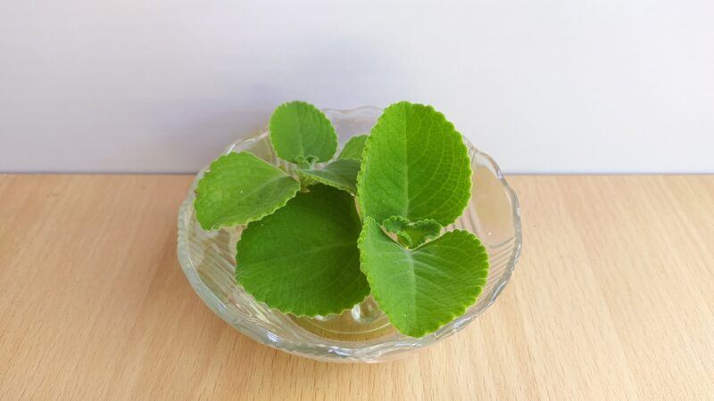 on a wooden surface is a clear glass bowl with a sprig of fresh oregano