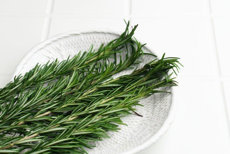 on a white wooden surface is a white dish with fresh rosemary sprigs