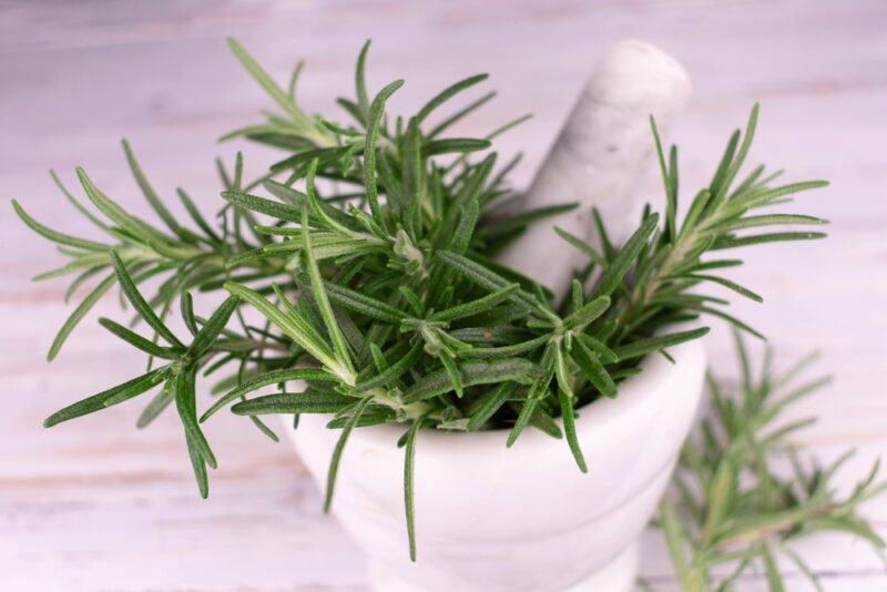 on a white wooden surface is a stone mortar and pestle full of fresh rosemary, beside it is a couple of rosemary sprigs