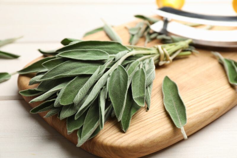 on a wooden chopping board is a bunch of fresh sage with loose sage leaves around it