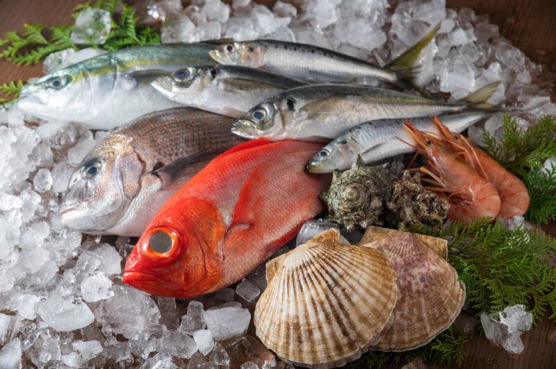 on a spread of crushed ice are different seafoods, different kinds of fish and shellfish, with sprigs of green leaves