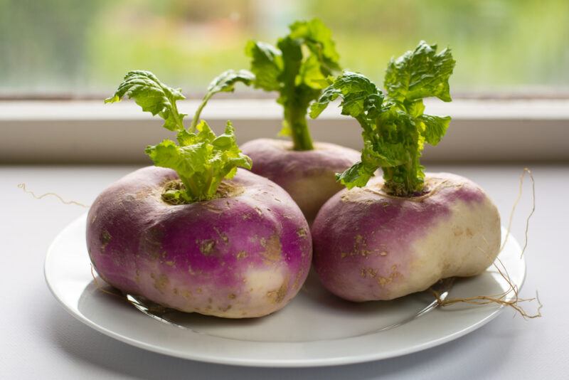 a closeup image of a white ceramic dish with three fresh purple turnips