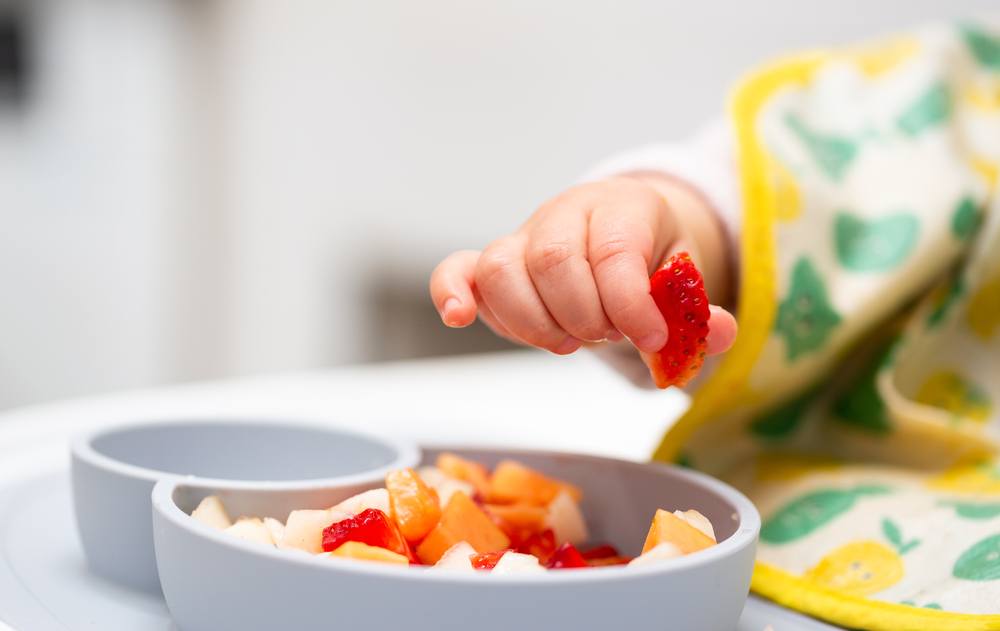 14 Best Foods for 10 Month Old Babies with 8 Delicious and Easy Meal