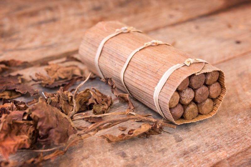 fully rolled cigars wrapped in organic paper with raw dried cigar leaves on table