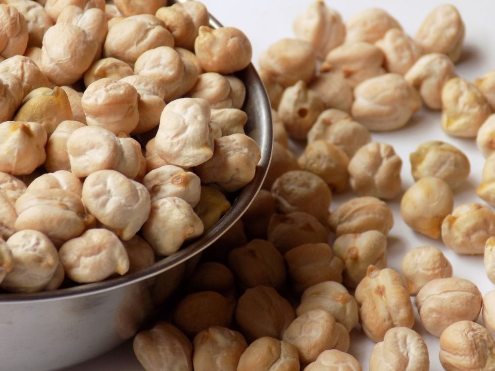 16 Types of Beans the Most Common and the Most Popular Food For Net