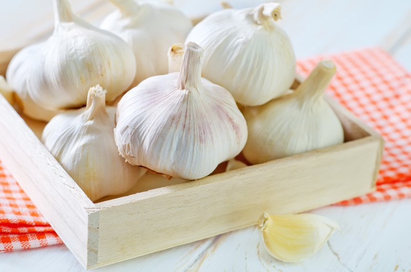 closeup image of a wooden surface with a wooden crate full of garlic heads, with a loose clove in front of it, the crate is resting on top of a red and white table napkin