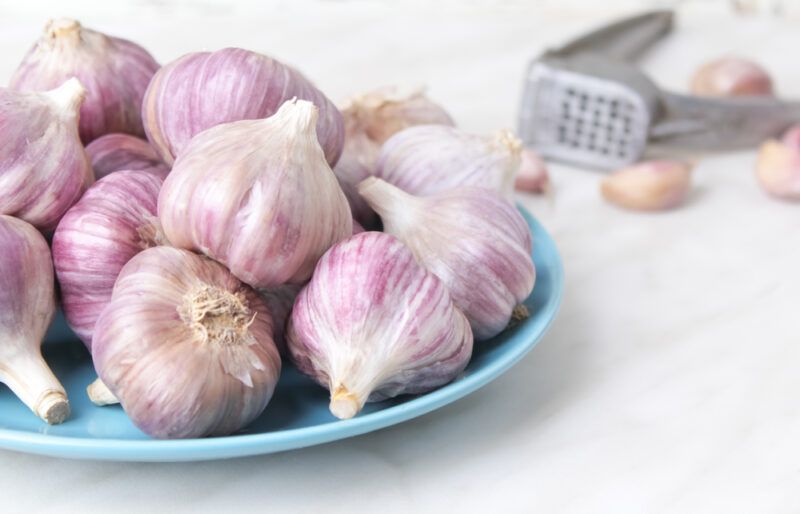 on a white surface is a blue plate full of garlic heads, at the back is a garlic crusher with loose garlic cloves