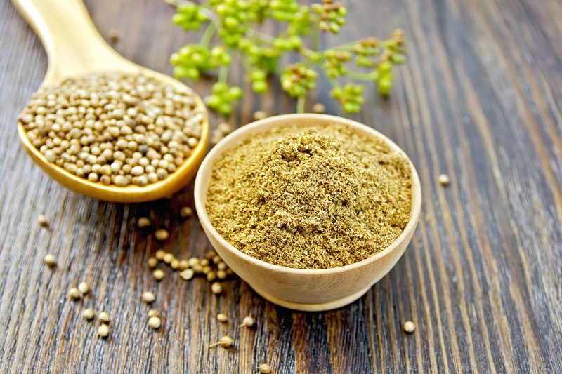 on a dark brown wooden surface is a light brown wooden bowl full of ground coriander with loose dried coriander seeds around it, a wooden spoon full of dried coriander seeds and a bunch of fresh coriander seeds at the back