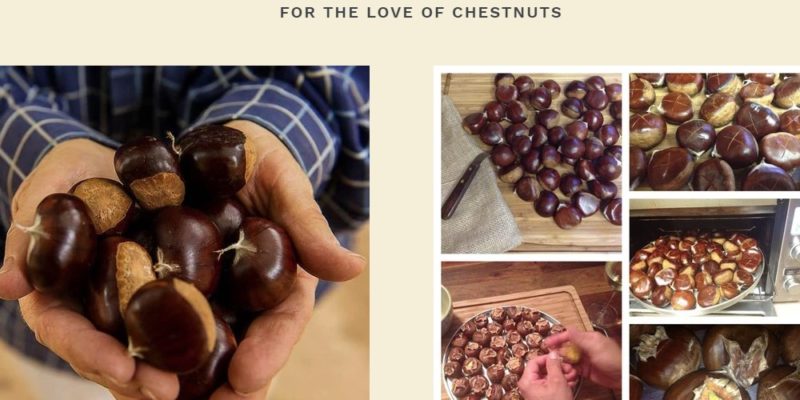 harrison's california chestnuts home page