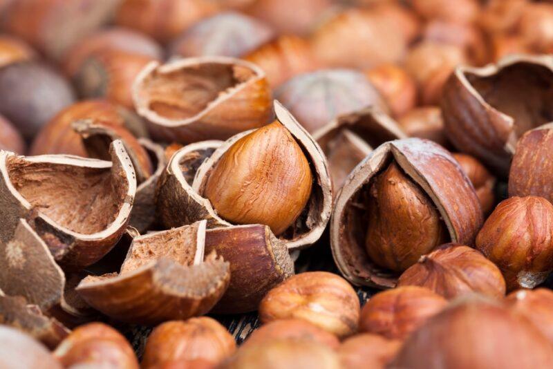 a macro shot of a spread of hazelnuts, some partially opened from their shell 