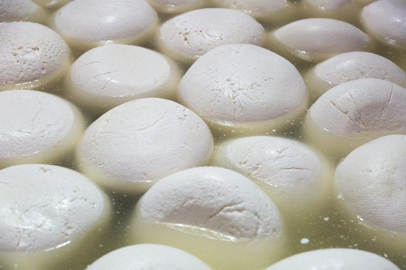 homemade mozzarella cheese, cheese ripens in brine