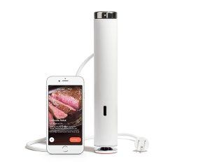 joule immersion circulator chefsteps | Food For Net