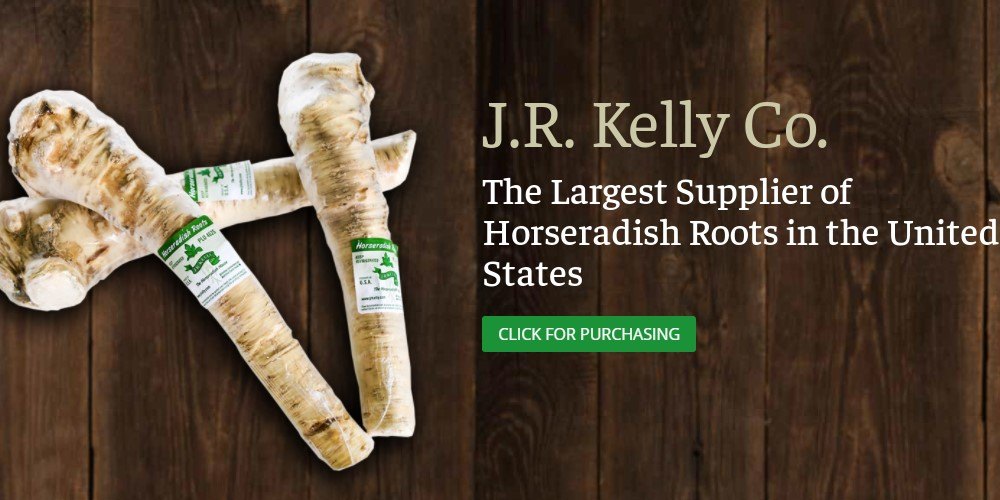 Buy Fresh Horseradish Root Online From These 4 sites Food For Net