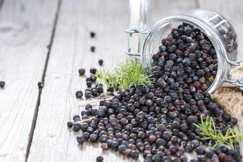 on an aged wooden surface is a mason jar on its side with juniper berries pouring out from it, on the spilled juniper berries are a couple sprigs of dill