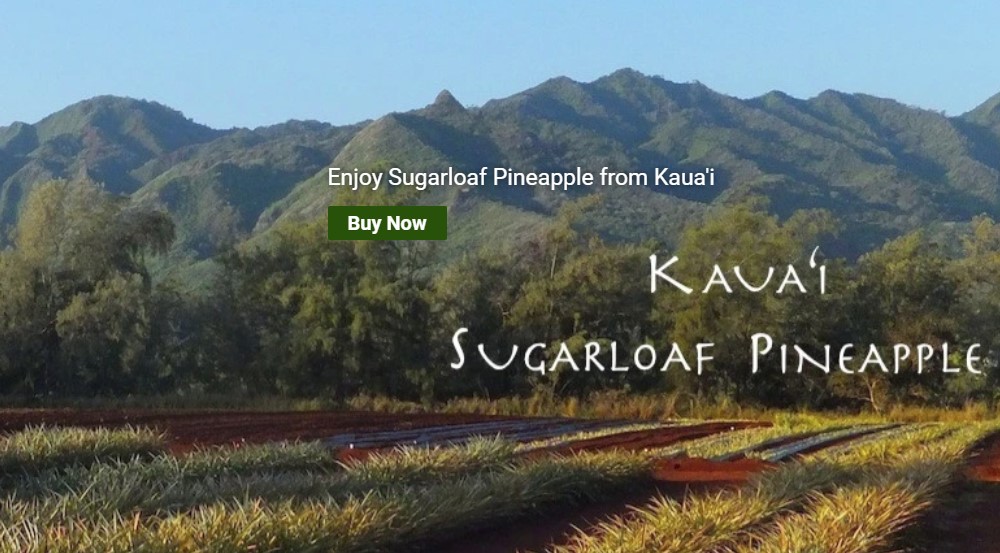 Buy Fresh Pineapple Online From These 4 sites Food For Net