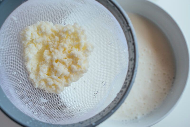 overhead shot of kefir grains being strained