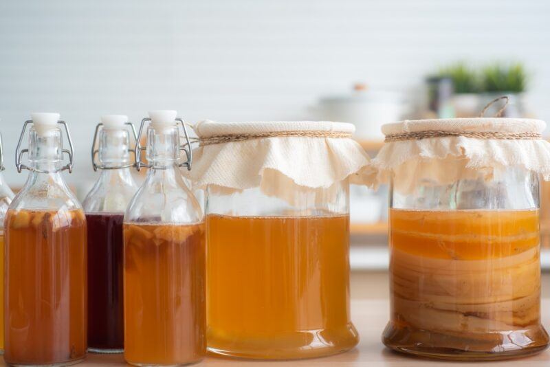 homemade fermented kombucha in different bottles