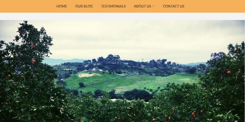 la vigne fruits home page