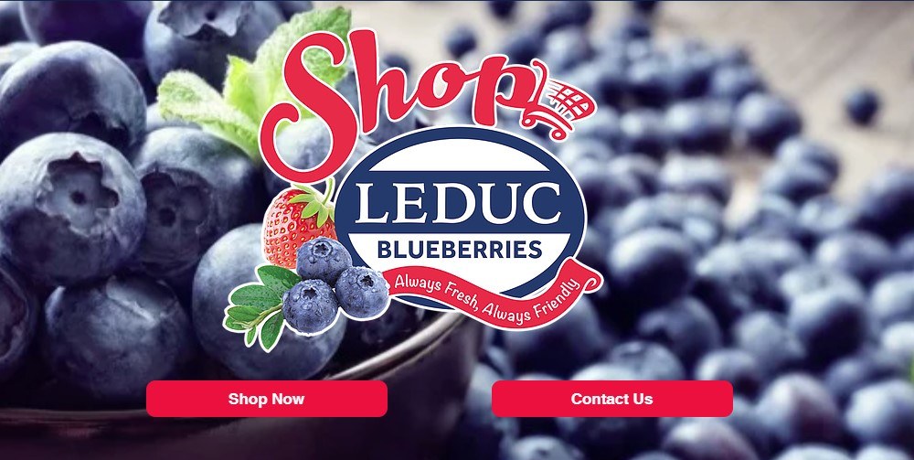 Buy Fresh Blueberries Online From These 7 sites Food For Net
