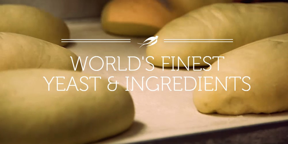 Buy Fresh Yeast Online From These 4 Websites | Food For Net