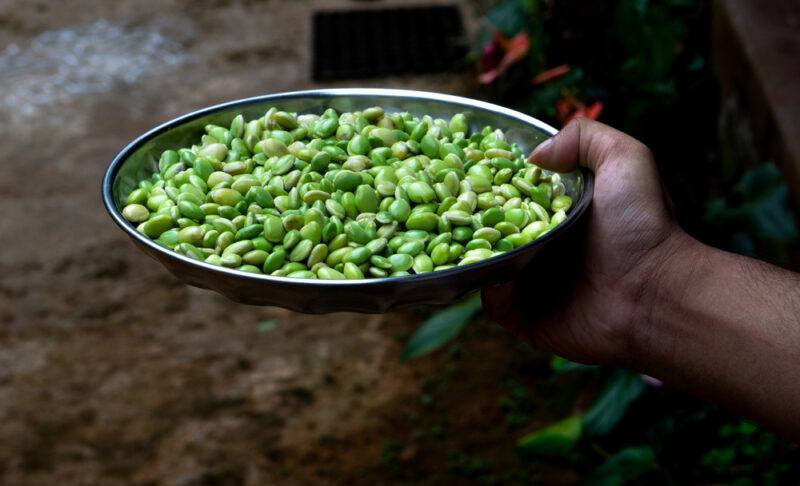 a h and holding out a metal dish full of lima beans