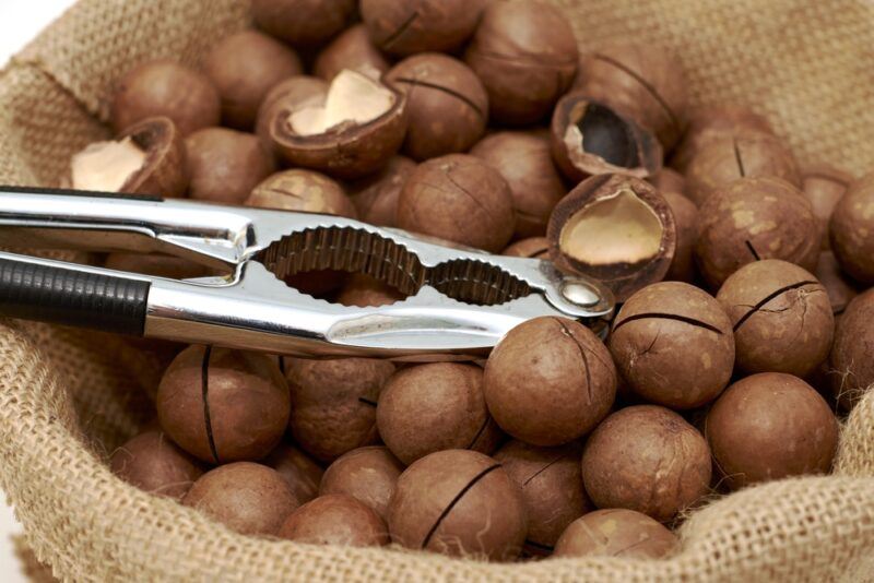 a closeup image of burlap sack with macadamia nuts with a nutcracker on top