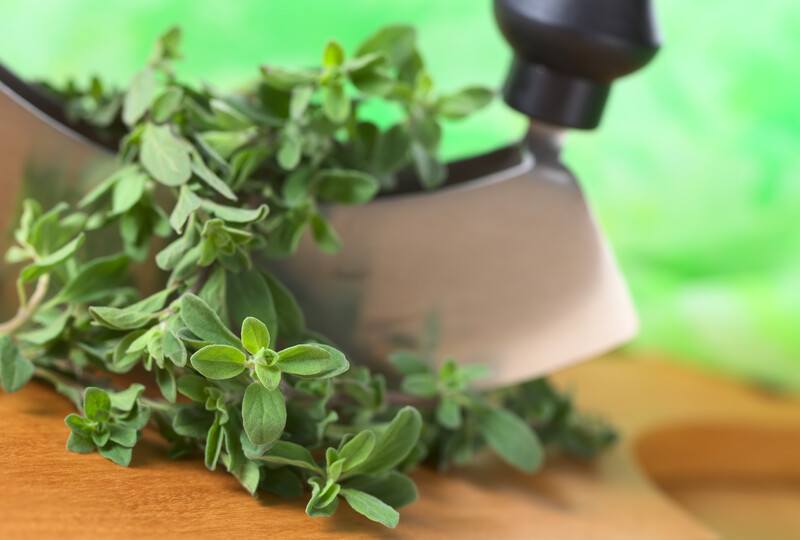 sprigs of fresh marjoram with a metal cutter