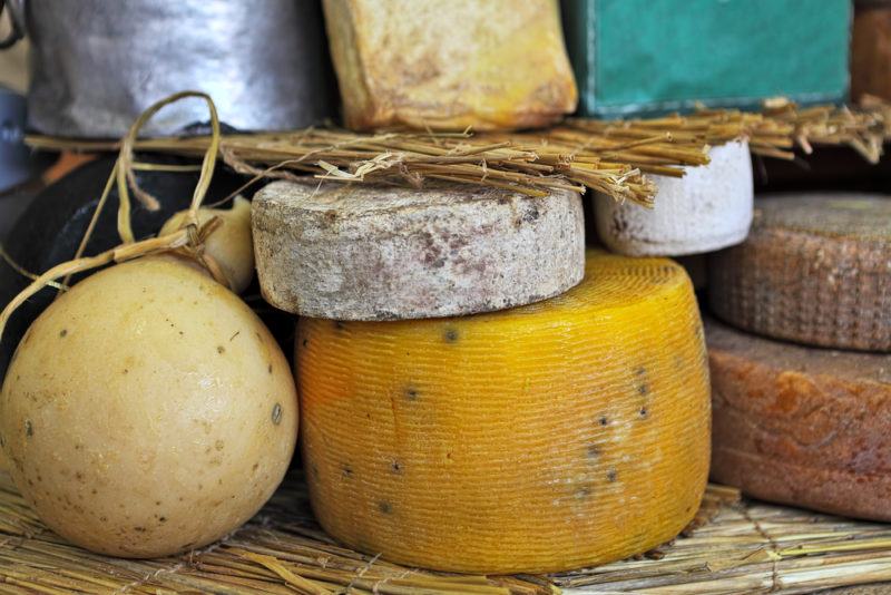 mature aged cheese with dark rinds on the stand on International Cheese Festival in Bra, Northern Italy.