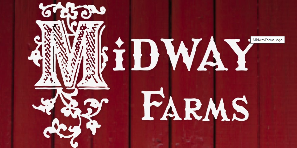 Buy Fresh Dill Online From These 5 sites Food For Net