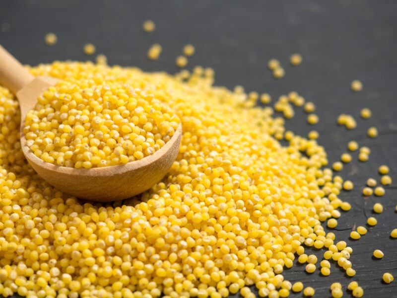 on a dark surface is a closeup image of a mound of millet grains with a wooden spoon on top full of millet grains as well