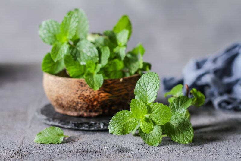 on a dark grey concrete surface is a wooden bowl full of mint resting on a black marble round board, beside it is sprig of mint as well and a blue table napkin at the back