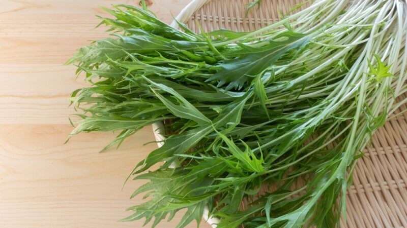 overhead shot of mizuna on a shallow weaved tray resting on a wooden table