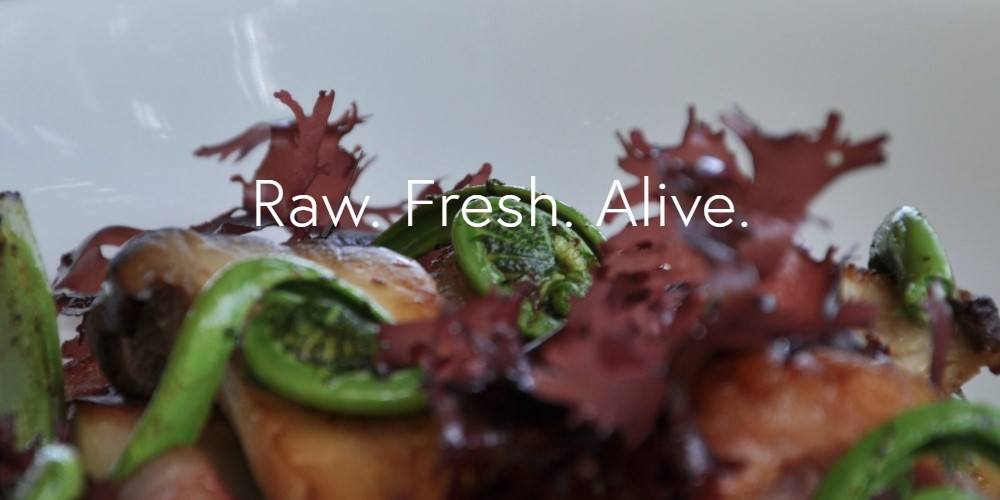 Buy Fresh Seaweed Online From These 4 sites Food For Net