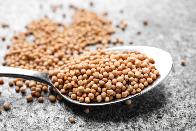 on a concrete surface is a closeup image of a silver spoon with mustard seeds resting on a small pile of mustard seeds