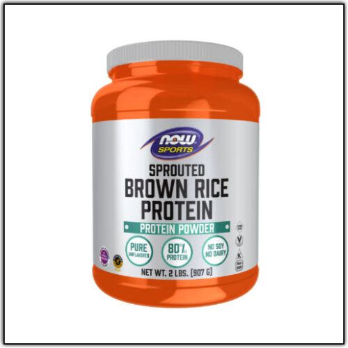 5 Best Brown Rice Protein Powder Brands Food For Net