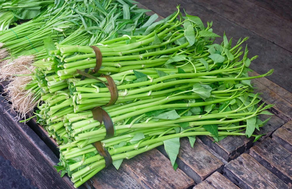 13 Types of Asian Vegetables with Five Asian Vegetable Dishes to Try