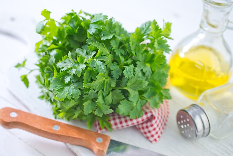 closeup image of a bunch of fresh parsley on a white and red table napkin, resting on a white chopping board with a knife, salt shaker, and olive oil beside it