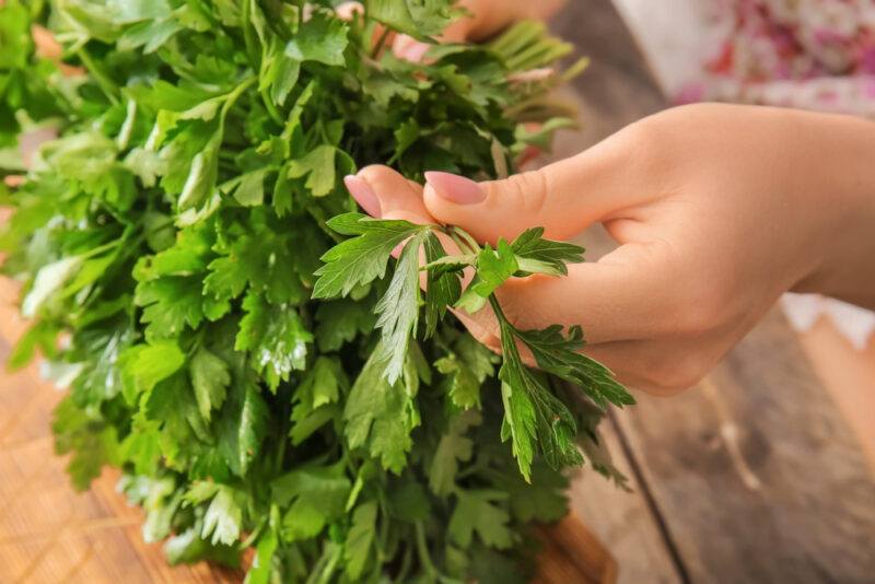 a woman's hands holding a bunch of fresh parsley over a wooden surface