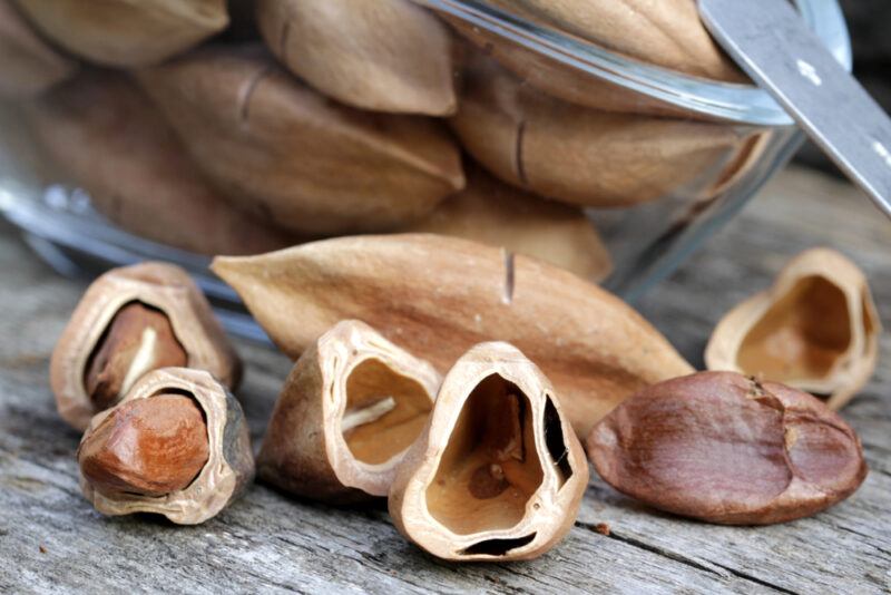 on an aged wooden surface is a closeup image of a clear glass bowl of pili nuts with a few loose ones cracked open