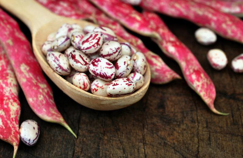 on a dark colored aged wooden surface is a wooden ladle with pinto beans, beside it are loose pinto beans with some still in their shells