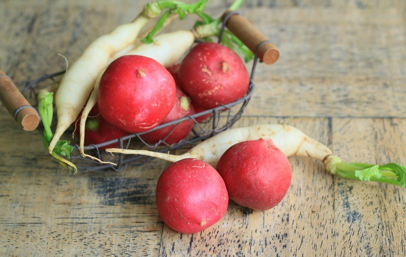 on a wooden surface is a little wire basket with wooden handle with white and red radishes, with some radishes laid out in front of it