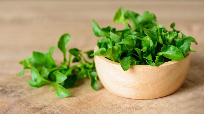 on a wooden surface is a wooden bowl full of raw watercress, with loose watercress beside it