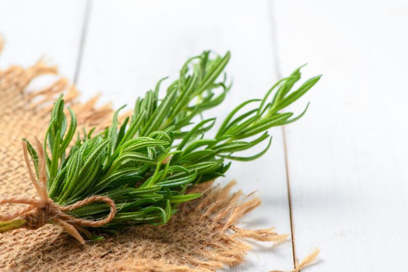 on a white wooden surface is a sprig of rosemary held together with a brown jute, resting on top of a little piece of burlap 